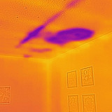 flir 20250717T065325