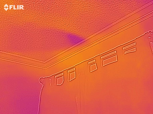 flir 20250717T035523.jpg