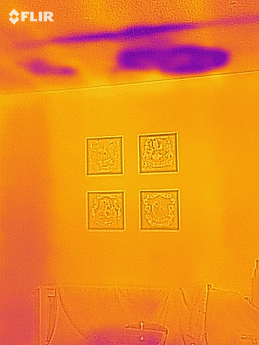 flir 20250717T065359