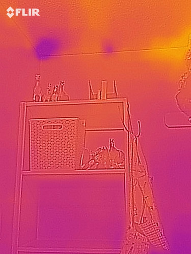 flir 20250717T034647.jpg