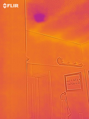 flir 20250717T065510