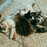 WhatsApp Image 2025 07 15 at 20.38.03 5b5f8150