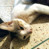 WhatsApp Image 2025 07 15 at 20.38.03 e3bcb716