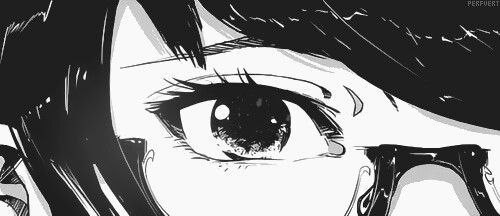 file 9576.jpg