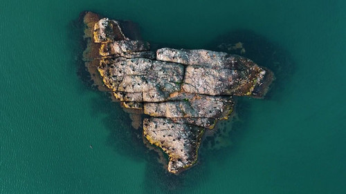 5oUx igcG3Y0Mf95.jpg