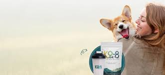 The Best Dog Supplements for Energy, Joints & Digestive Health.jpg