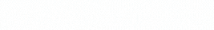 banner anita 1.gif