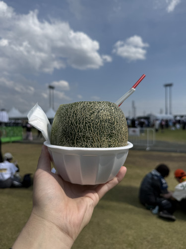 IMG 0268.jpg