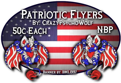 patriotic flyers.png