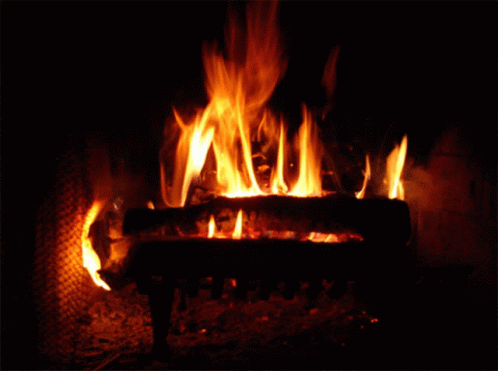 c6628502564a2fad4e82d0d704097171.gif