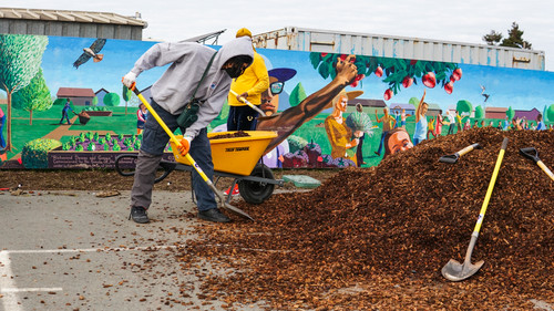 Co Tony Tamayo 1.jpg