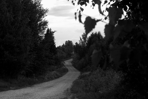 IMG 3042 1.jpg