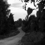 IMG 3042 1