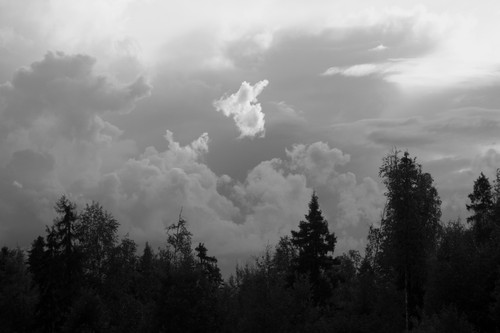 IMG 3048 o1.jpg