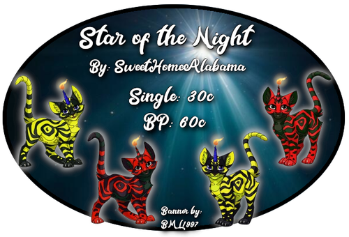 star of the night.png