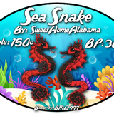 sea snake