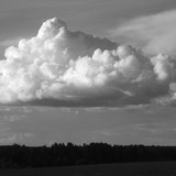 IMG 3067 1