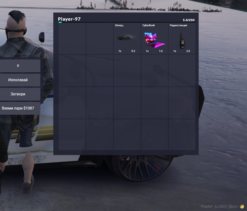 FiveM GTAProcess TXrqrm0sni.2