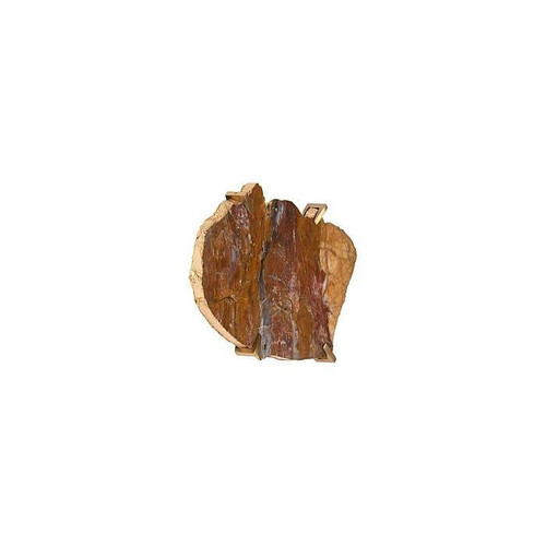 temp image 1.jpg