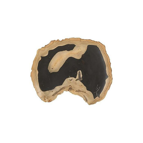 temp image 0.jpg