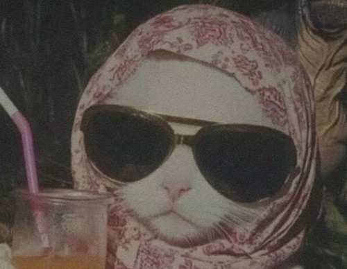 Gu2jLo7XUAEF0RV.jpg
