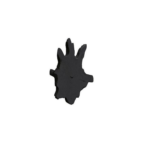 temp image 1.jpg
