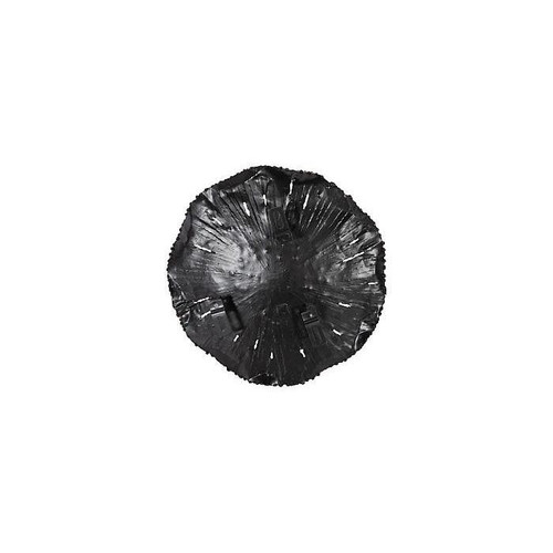 temp image 3.jpg