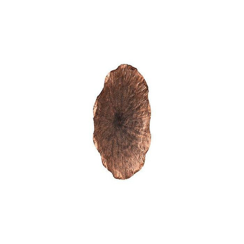 temp image 1.jpg