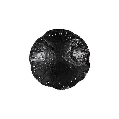 temp image 3.jpg