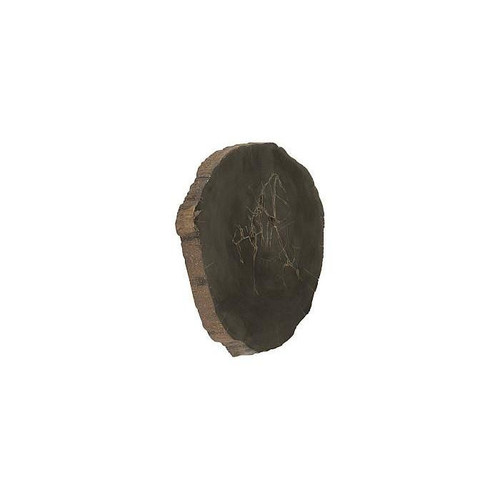 temp image 1.jpg