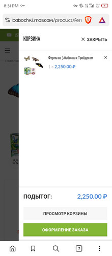 Screenshot 20250702 205101.jpg
