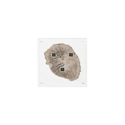 temp image 3.jpg
