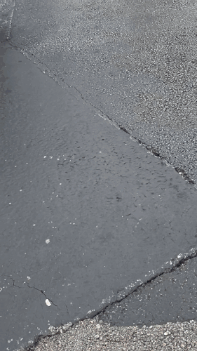 IMG 3588.gif