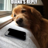 diana.png
