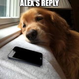 alex's.png