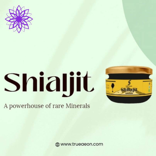 Best Shilajit Fulvic Acid Supplement Benefits.jpg