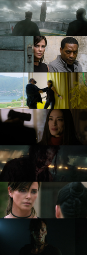 InCollage 20250702 174718518.png