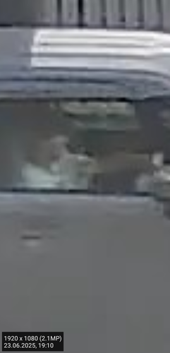 1000090238.png