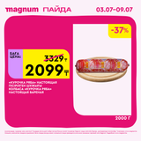 Magnum 1620x1620 1 tov 2025 07 01T171201.742