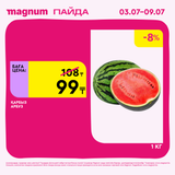 Magnum 1620x1620 1 tov 2025 07 01T171232.644