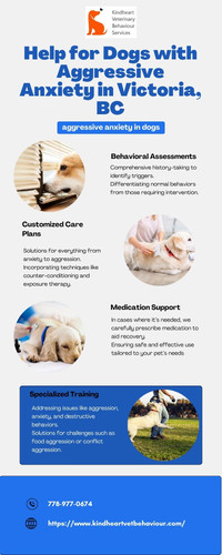 Help for Dogs with Aggressive Anxiety in Victoria, BC.jpg