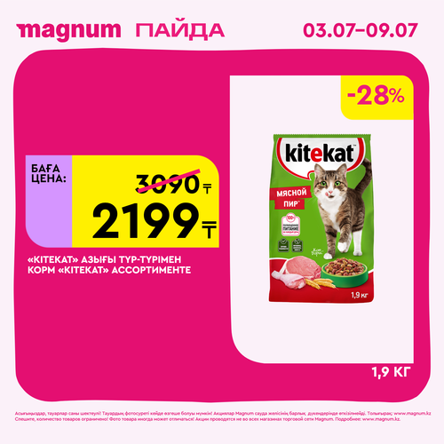 Magnum 1620x1620 1 tov 2025 07 01T171145.377.png