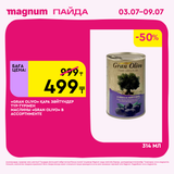 Magnum 1620x1620 1 tov 2025 07 01T171130.368