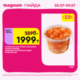 Magnum 1620x1620 1 tov 2025 07 01T171148.833