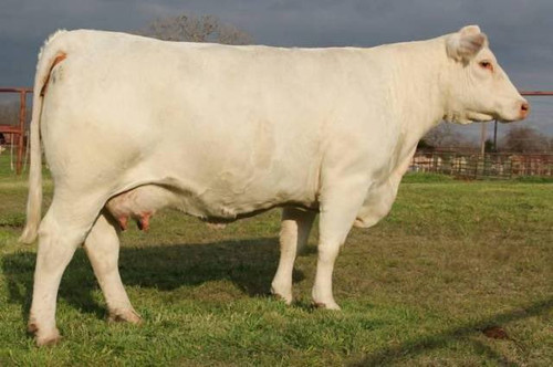 Guw859cWMAATk 1.jpg