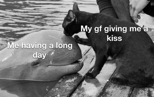 GuyfWWEWMAA6ebN.jpg