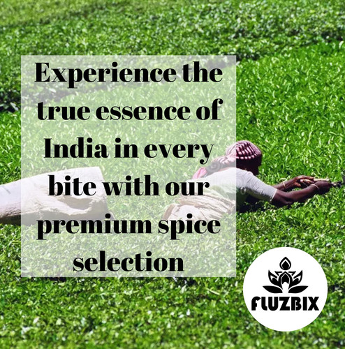 Experience the true essence of India in every bite with our premium spice selection - 2.jpg