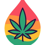 image removebg preview (3).png