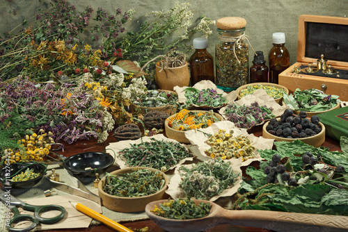 HerbsAdobeimage.jpg