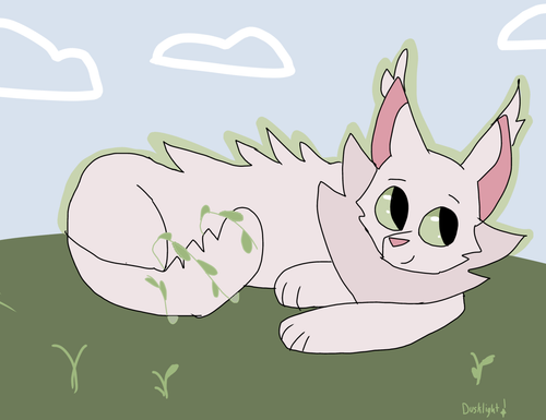 IMG 2115.png